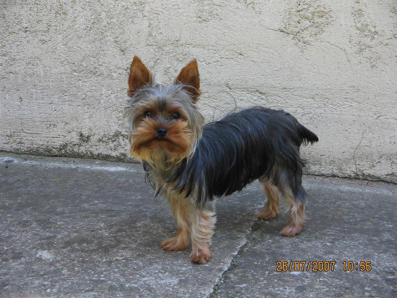 Foto: Phoebinka